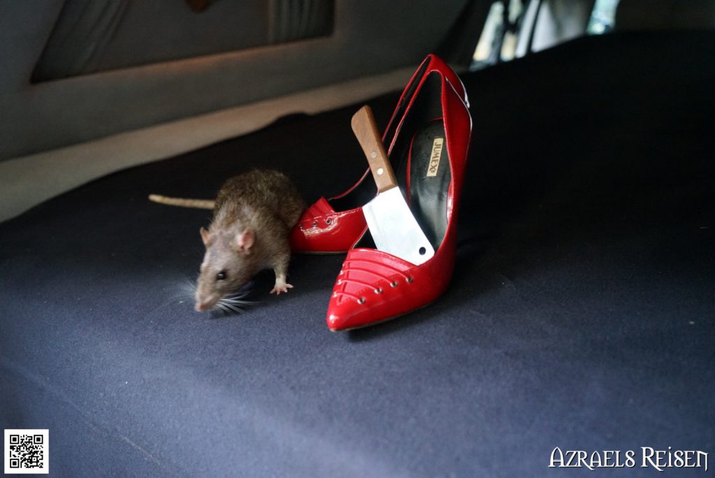 Ratte mit Schuhen